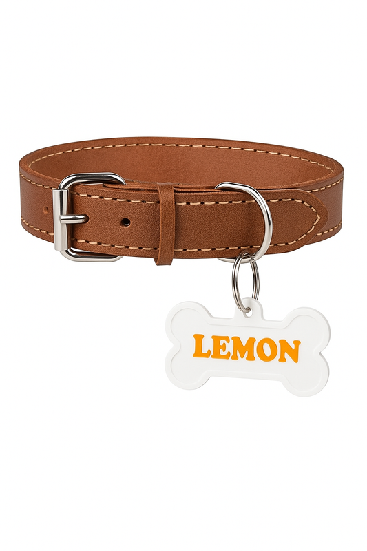 Pet Name Tag