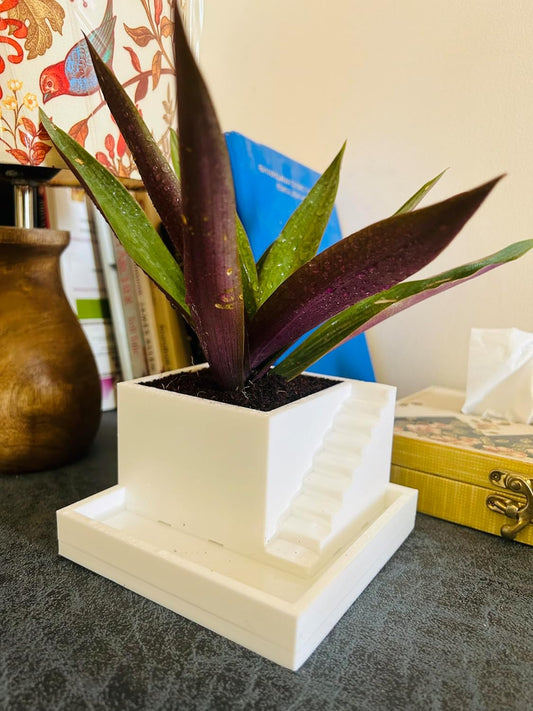 Self Watering Decorative Indoor Planters for Home, Living Room
