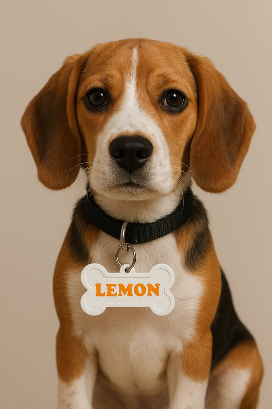 Pet Name Tag